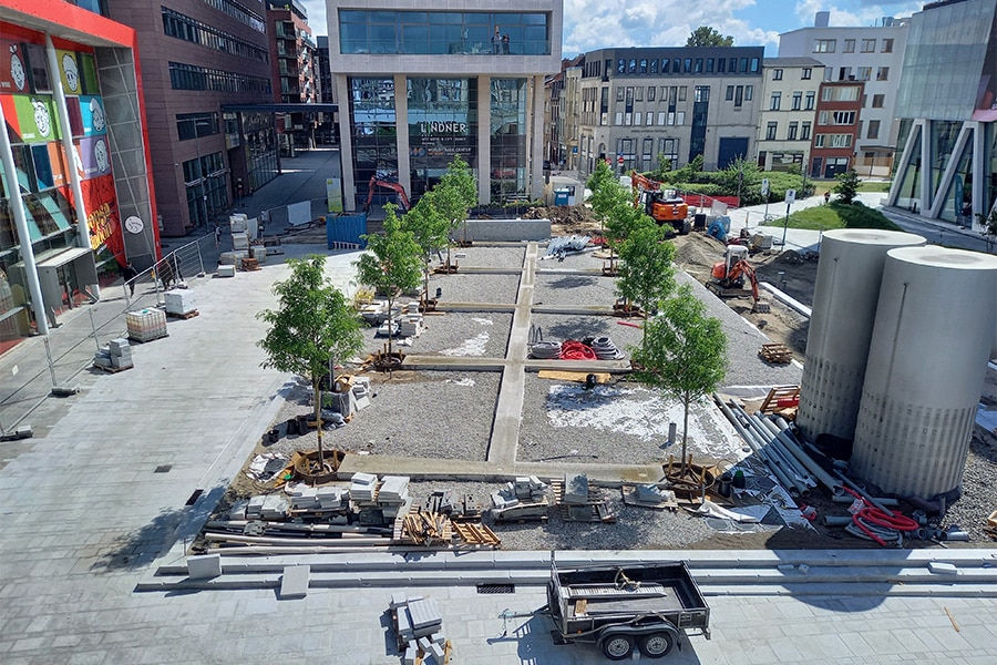 Boombunkers als ideale groeiplaats voor volwassen bomen 3