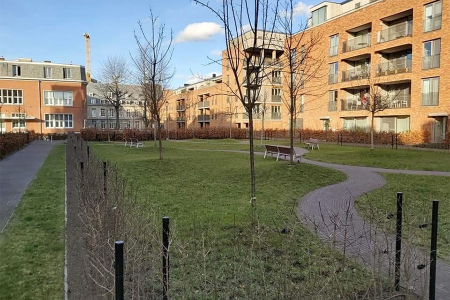 ‘Good Urban Practice’ brengt meer groen naar de steden 3