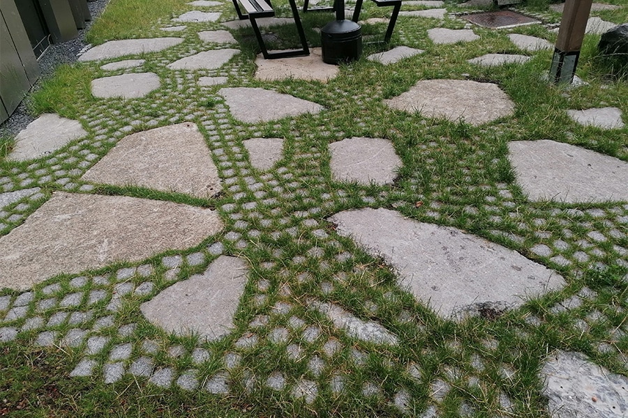 Een succesvolle ontharding dankzij plantsubstraten 1