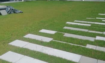 Een succesvolle ontharding dankzij plantsubstraten 7