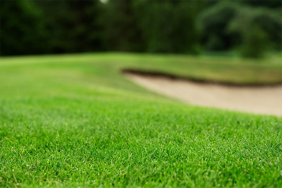 Grass seed mixtures for each part of the golf course 1