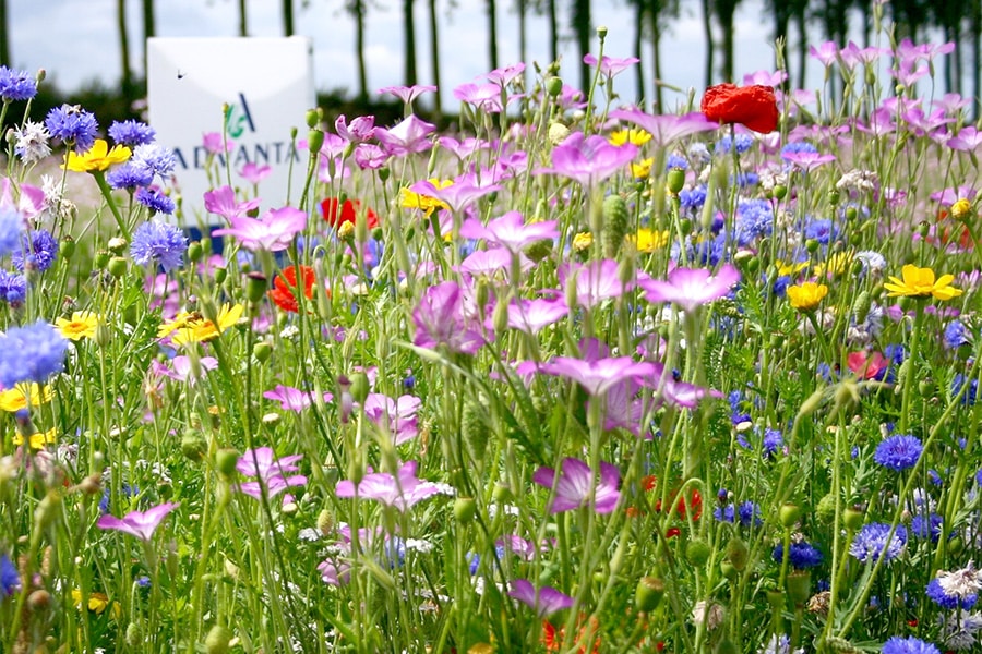 Hard inzetten op zuiverheid van kwaliteit 2