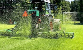 Gras is zoveel meer dan het plantje zelf 7