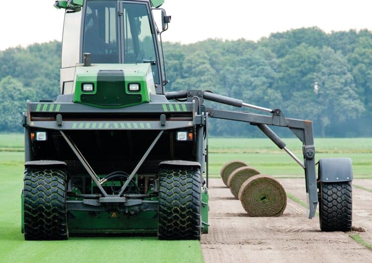 De kunst van perfecte graszoden 1