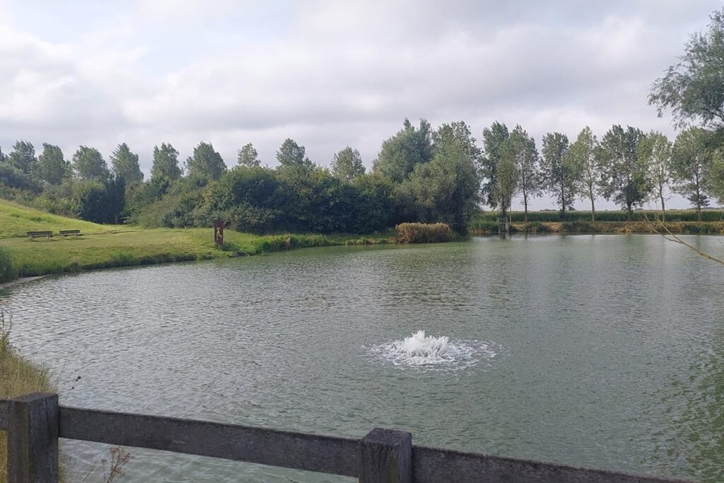 Van verzilt water tot gezonde velden 1