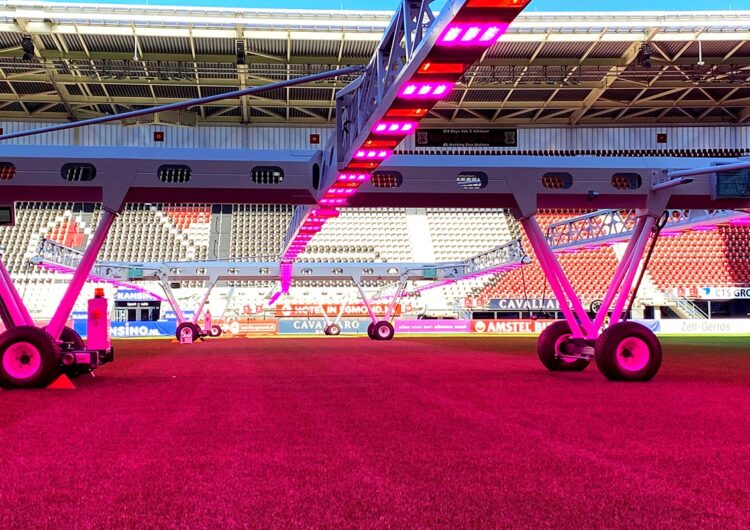 AFAS Stadion Alkmaar zet led-groeibelichting van SGL in voor onderhoud grasmat 2