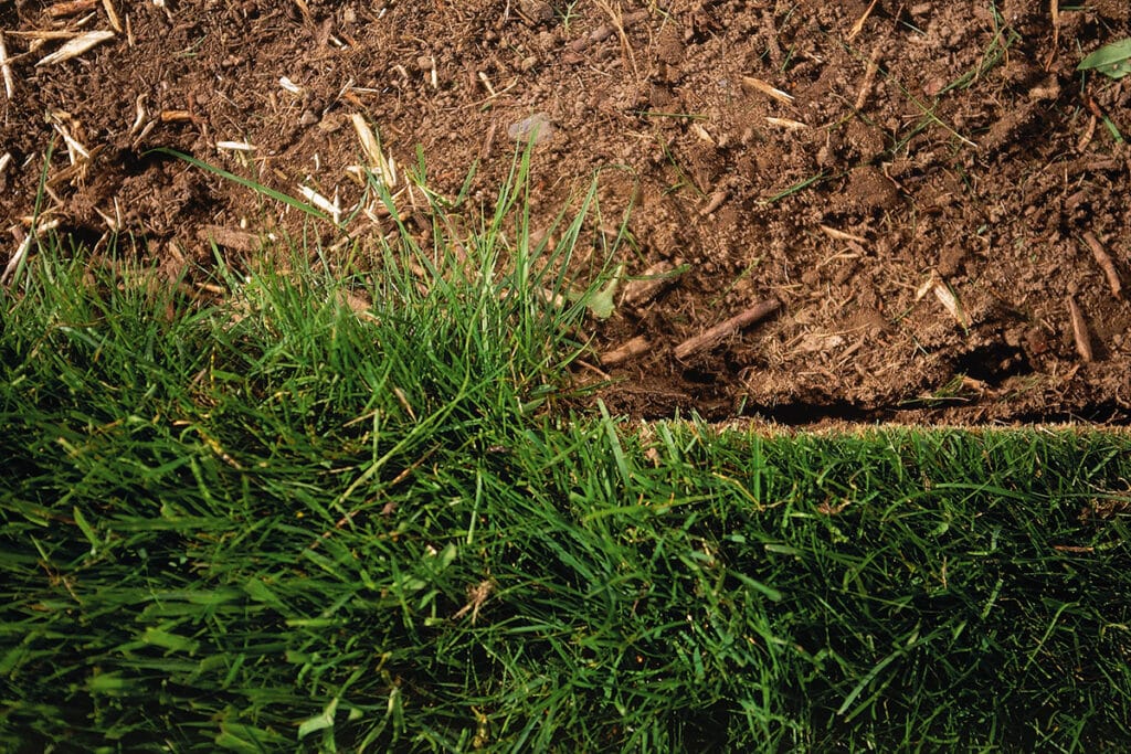 Kwaliteit zit in de afwerking 2