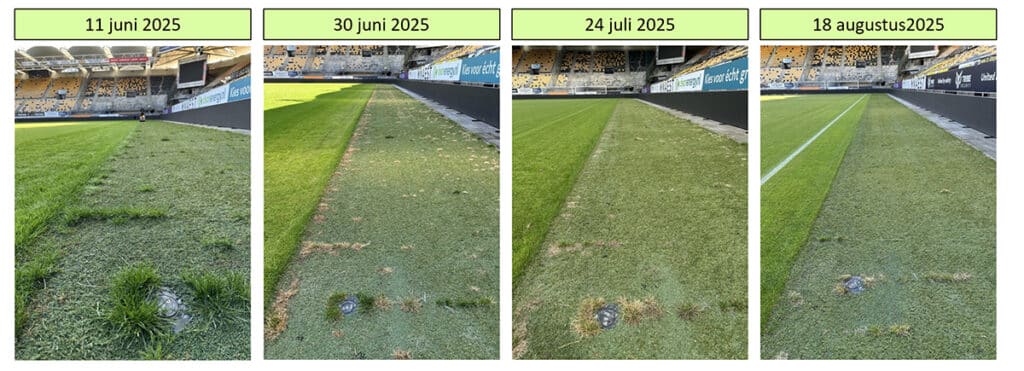 Elektrische schok maakt korte metten met onkruid op kunstgras 1
