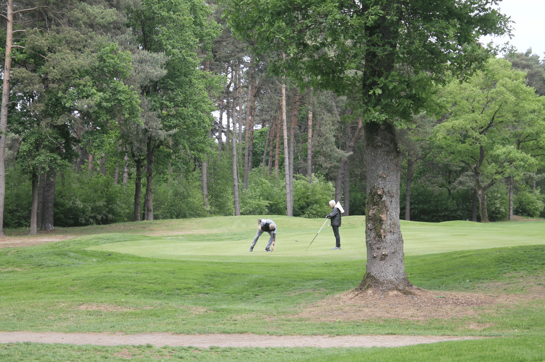 Machinery drives golf course quality 5