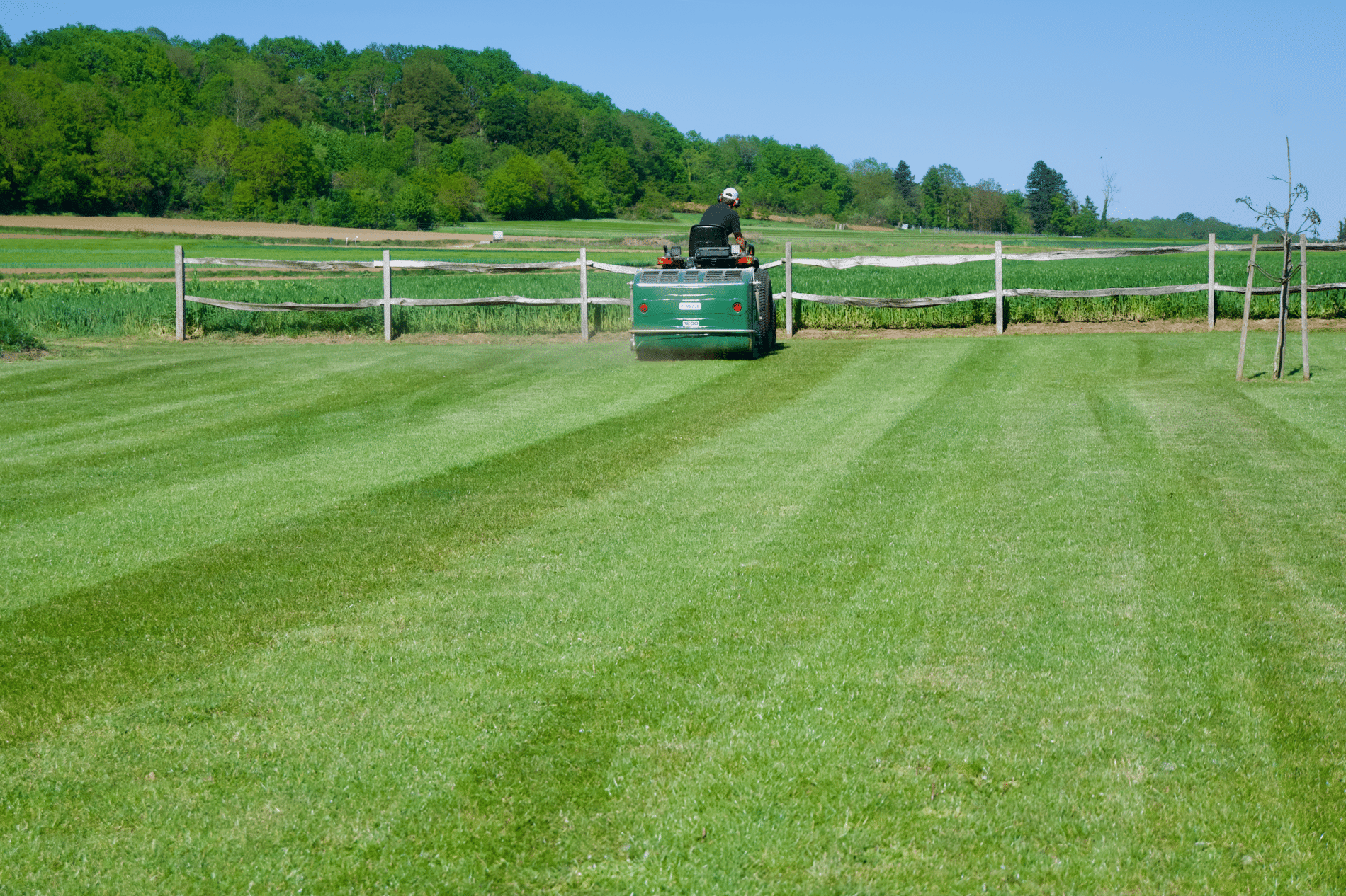 Natural grass as a sustainable alternative to artificial turf 2