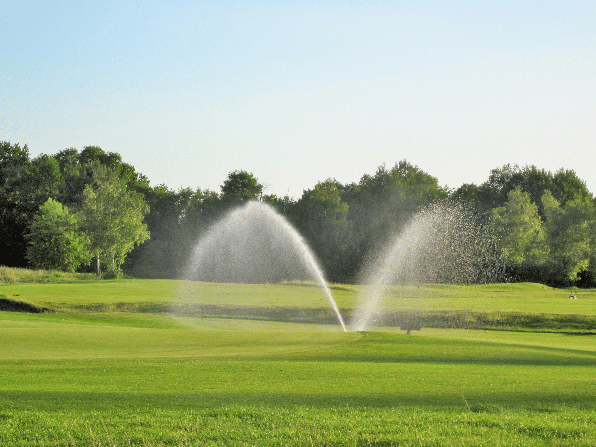 Summer fertilisation: Promoting heat and drought tolerance in turfgrass 9