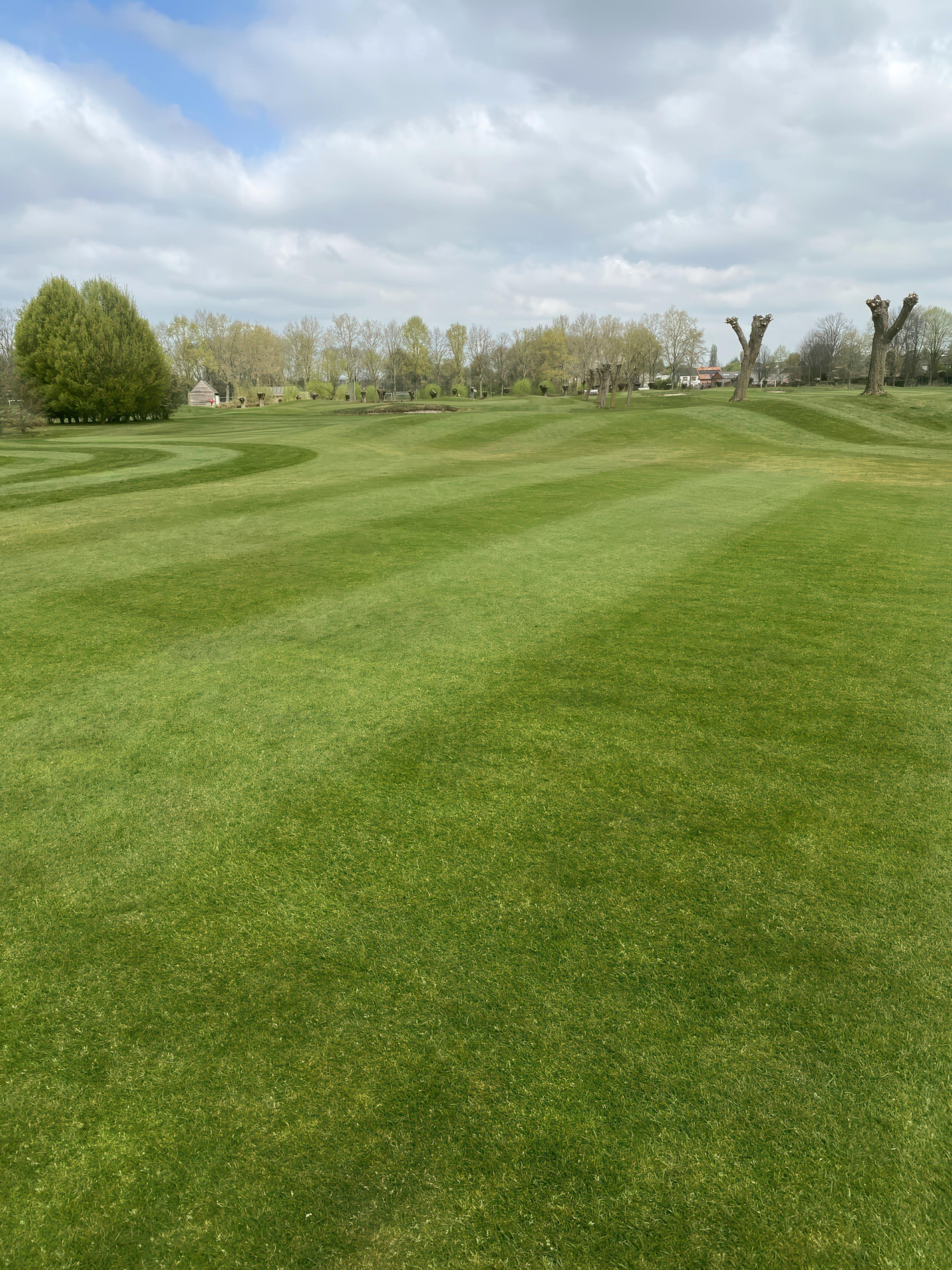 Nitrogen in turf management 1