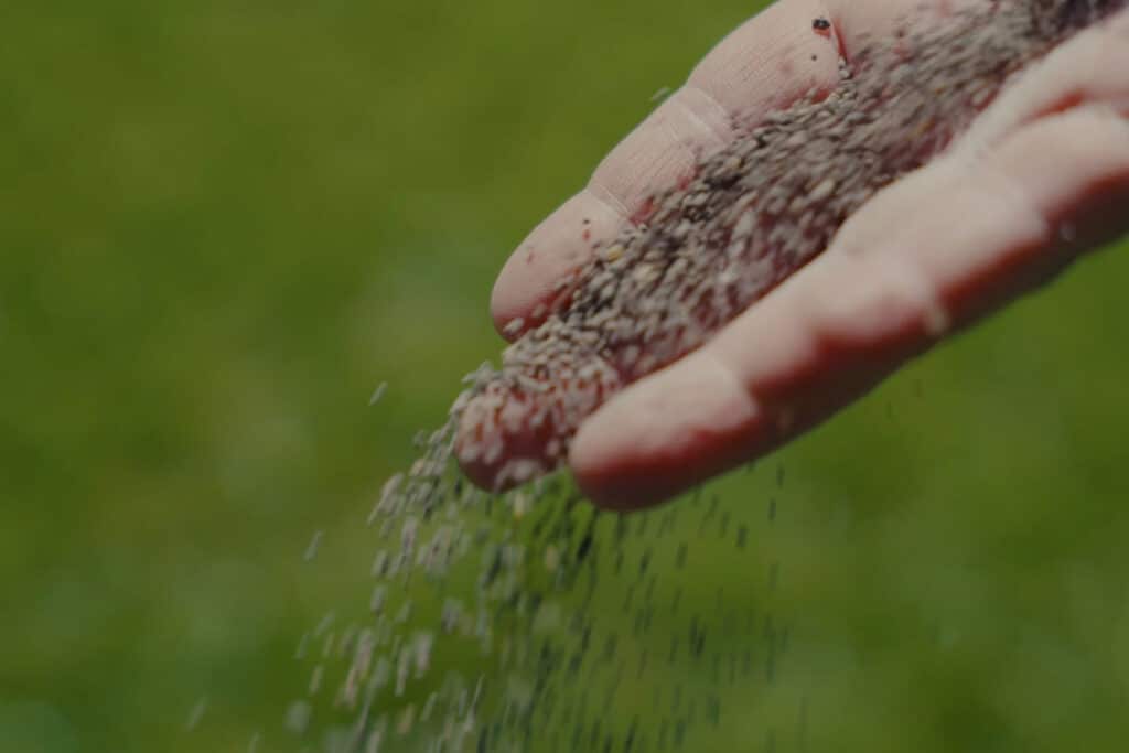 Fert In Time provides expert advice for healthy and sustainable turf management 1