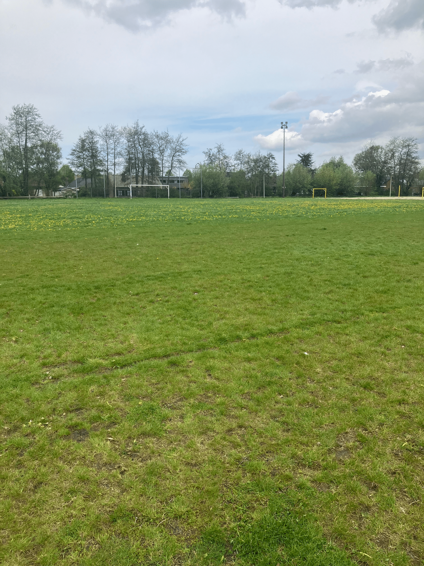 Four steps towards a weed-free natural grass pitch 2