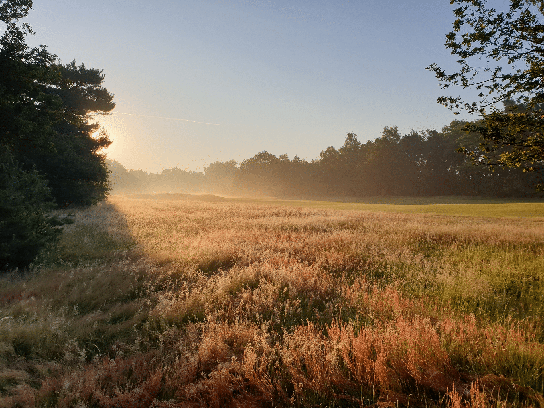 The challenges of greenkeeping: every millimetre counts in Geijsteren 2