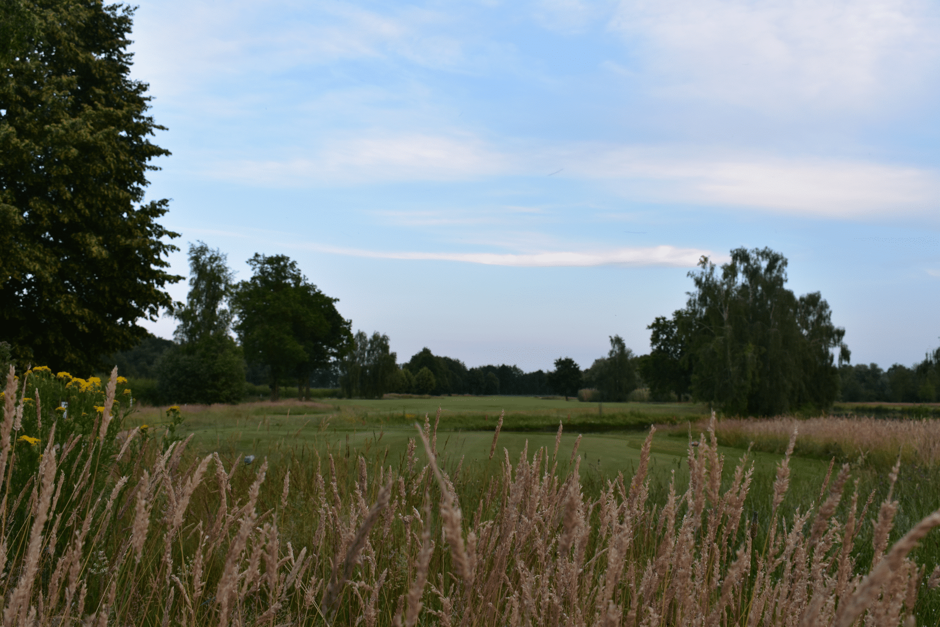 The challenges of greenkeeping: every millimetre counts in Geijsteren 1