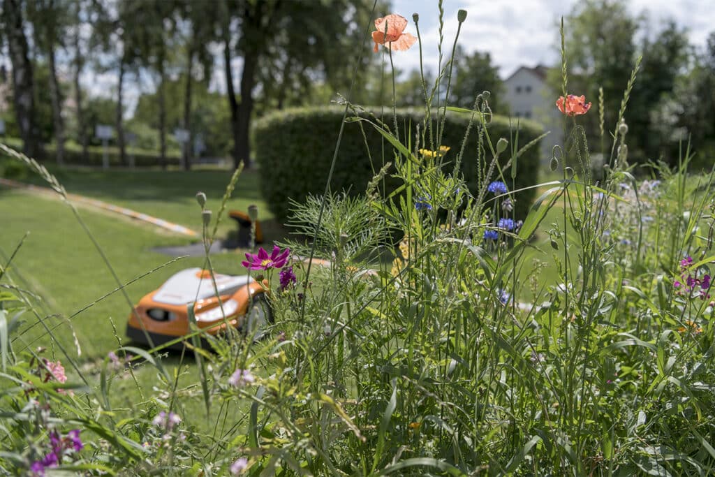 Un jardin accueillant pour les insectes et autres petits animaux