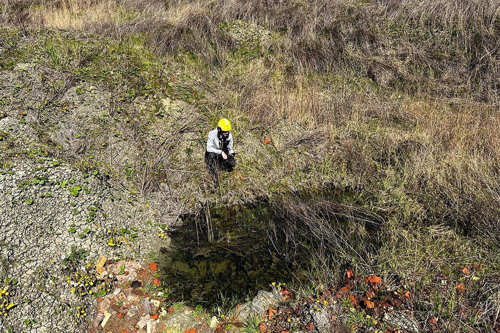Des clôtures aux haies