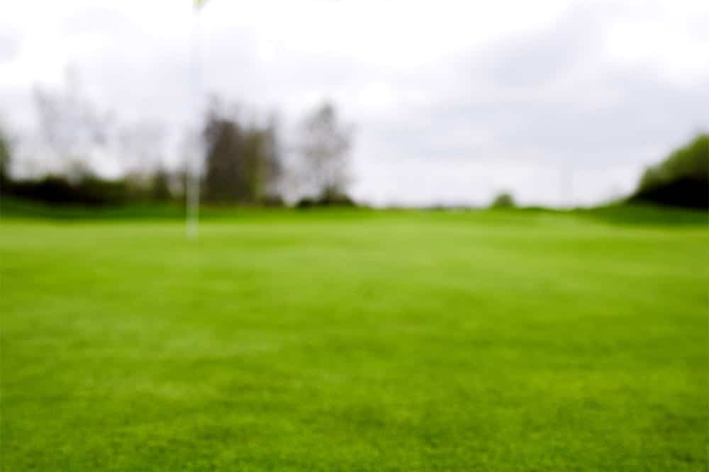 L’eau saumâtre pousse le Golf Club Beveren vers l’agrostide stolonifère