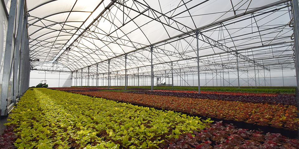 Plantor kiest voor dubbelwandige folieserre van Vermako