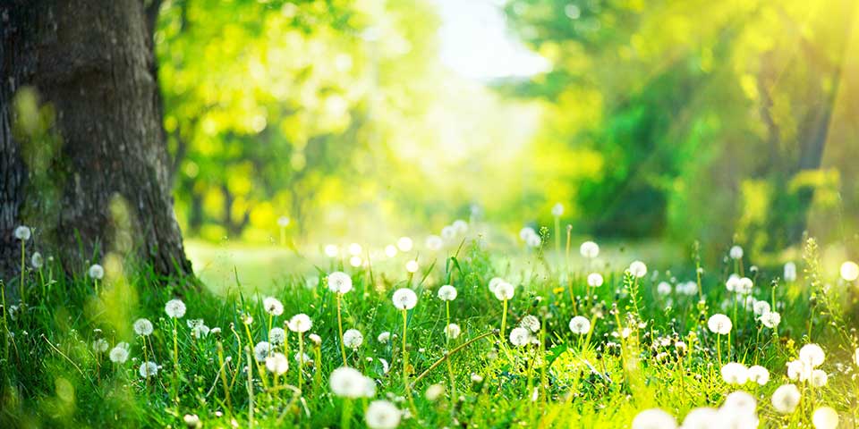 On the road to quality assurance for professional construction of ecological, climate-resilient gardens