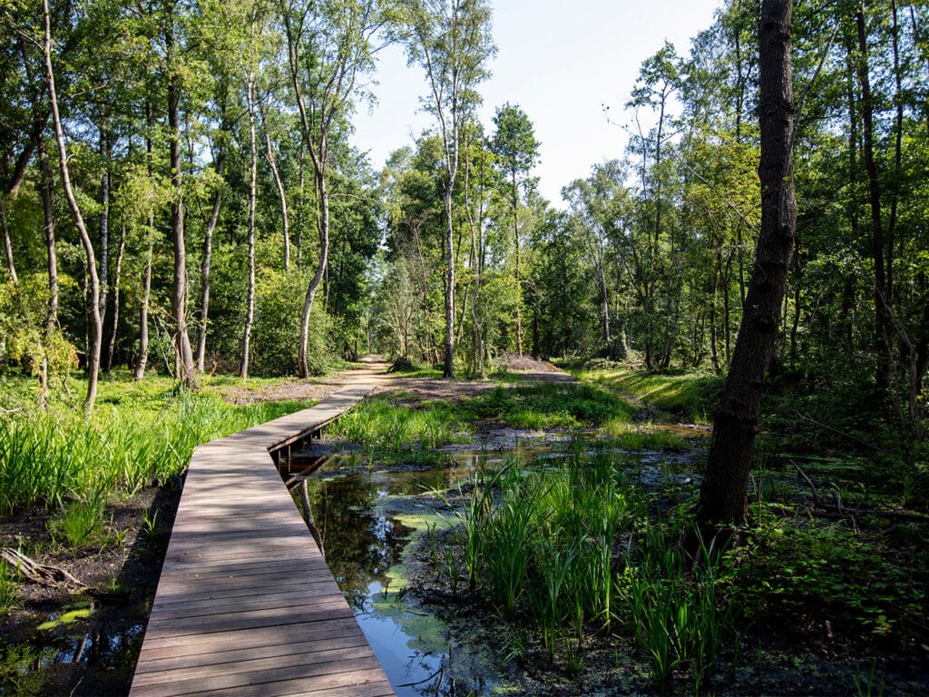 Van vergaarbak voor afvalwater tot blauw-groene levensader