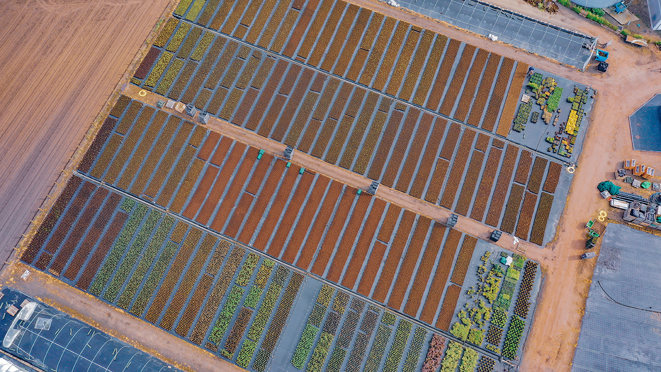 Avec Plantura 11, vos plantes s'épanouiront