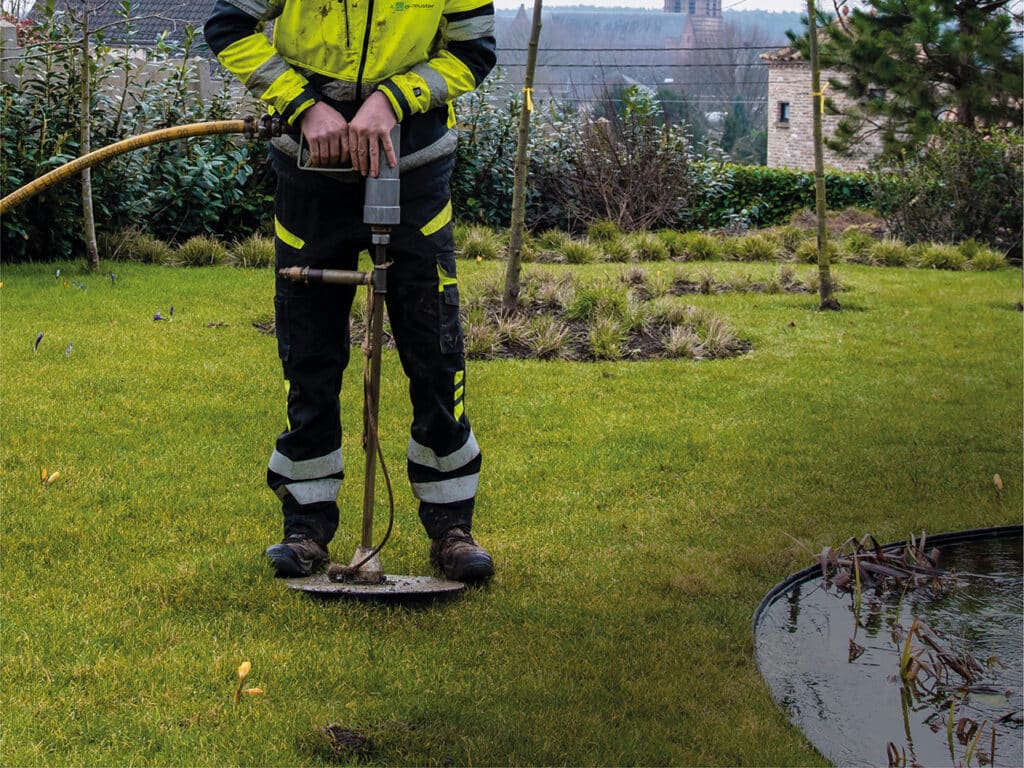 Blaas bomen onder stress nieuw leven in