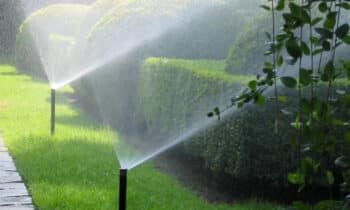 Carefree irrigation 4