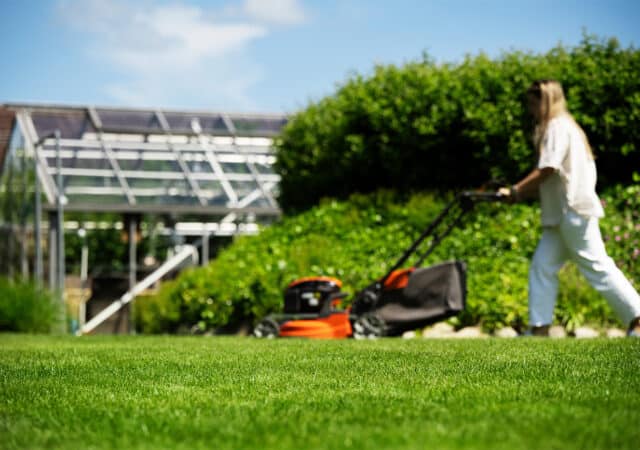 Tetraploïd Engels raaigras zorgt voor extra sterke zode 5