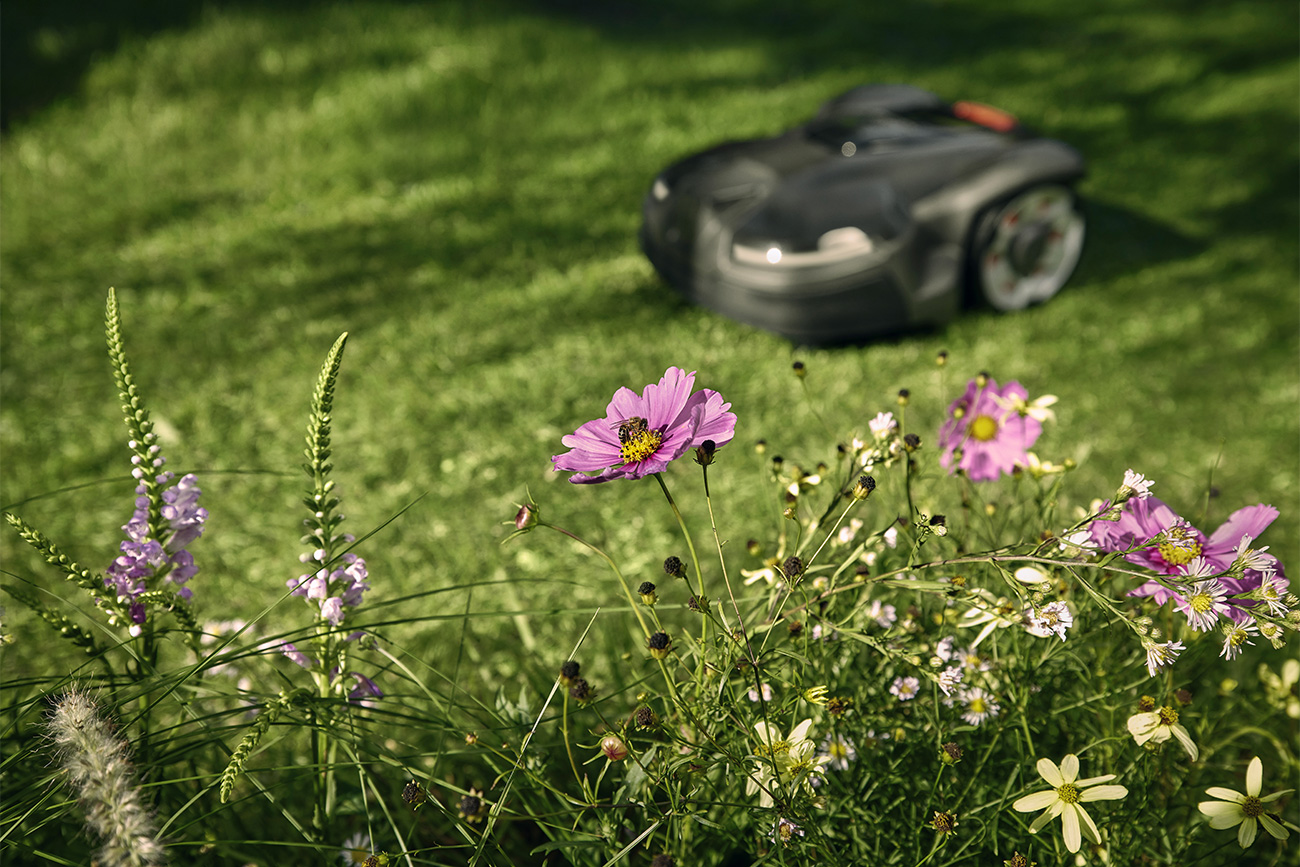 Une nature plus sauvage dans le jardin grâce au mode « Rewilding » des tondeuses robotisées Husqvarna 6