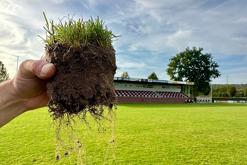 Hoogwaardige grasmengsels, ontwikkeld voor de toekomst