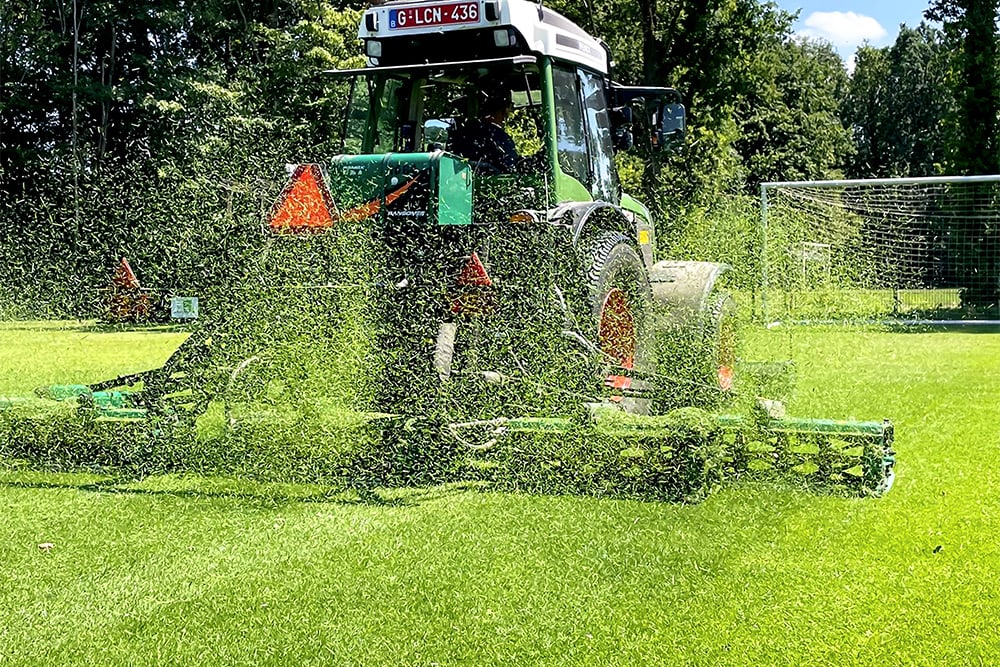 Gras is zoveel meer dan het plantje zelf