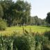 Golf en natuur: een opportuniteit! 2