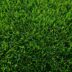 Innovatieve meststof voor gelijkmatig groeiend gras 3