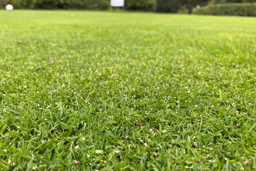 Hechte ploeg en uitgekiende bemestingsstrategie vormen de basis van succes 1