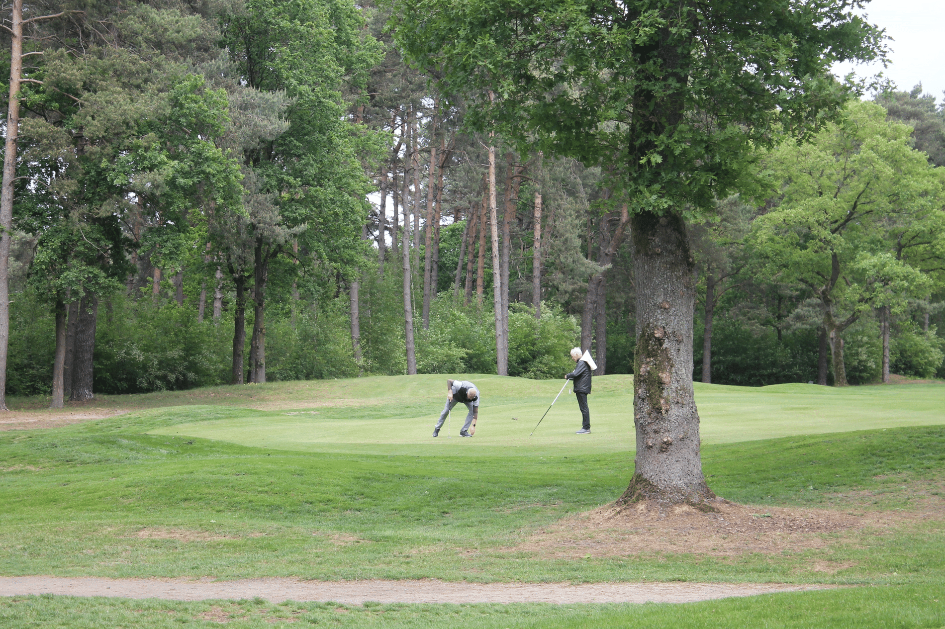 Machines zijn bepalend voor de kwaliteit van een golfbaan 5