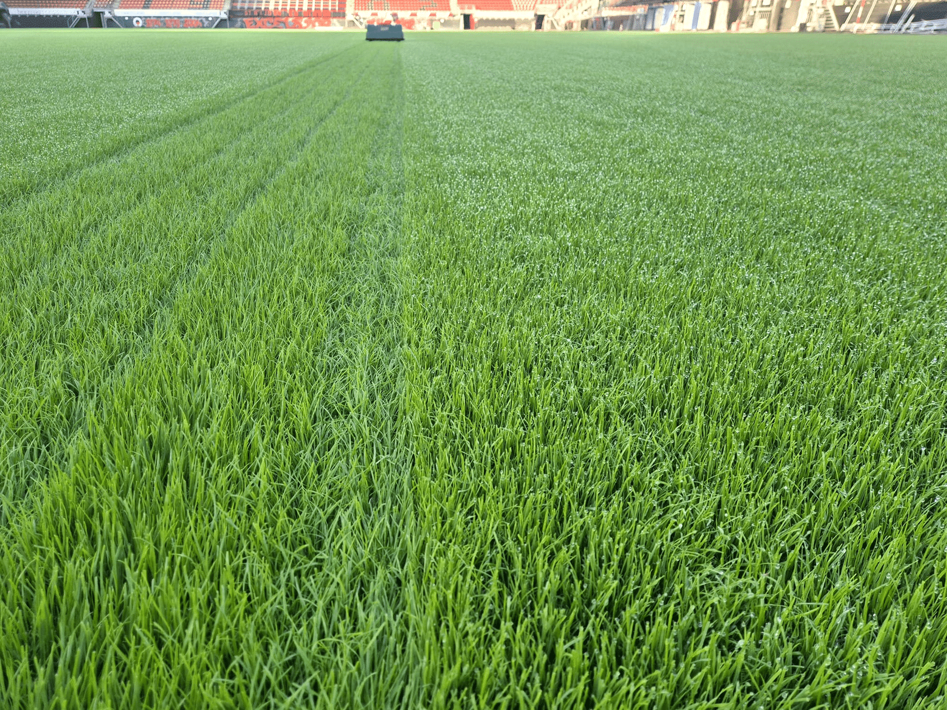 Slimme watersturing wapent natuurgrasvelden tegen extreem weer 1