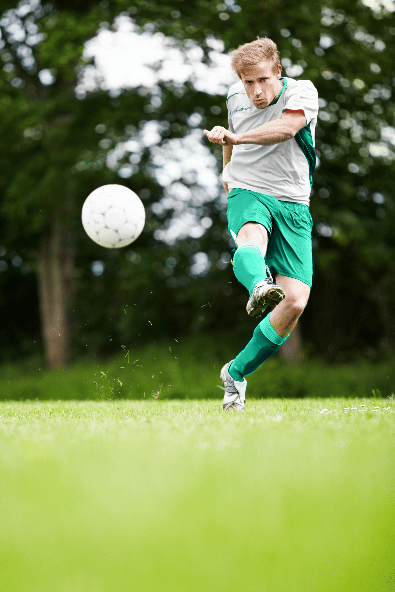 De beste grasrassen voor gezonde sportvelden 1
