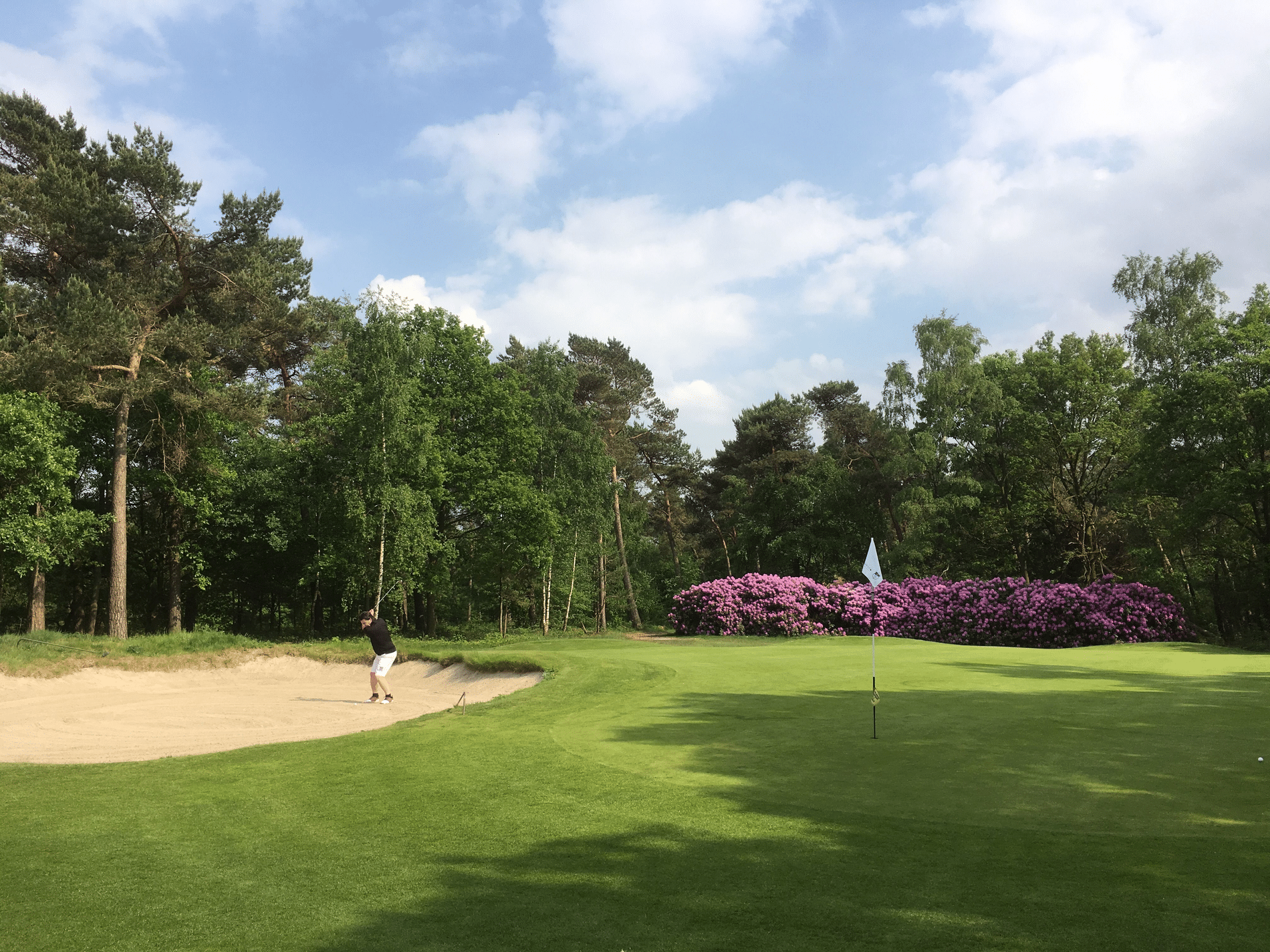 De uitdagingen van greenkeeping: elke millimeter telt in Geijsteren 2