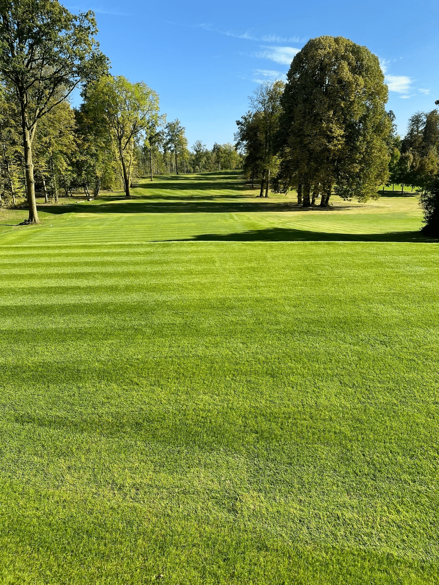Stikstof in grasbeheer 1