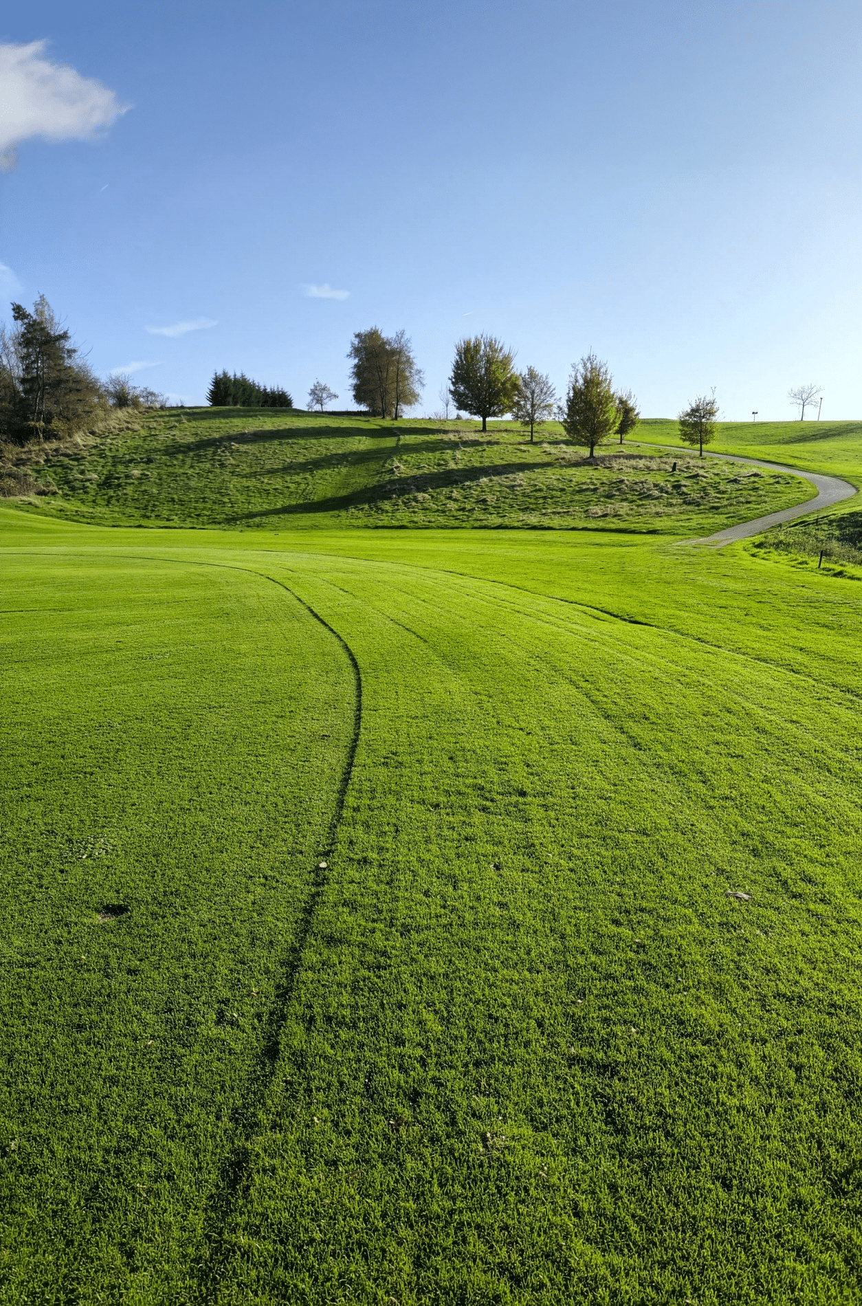 Stikstof in grasbeheer 2